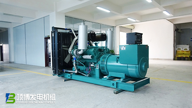 600kw里卡多-高清2 拷貝